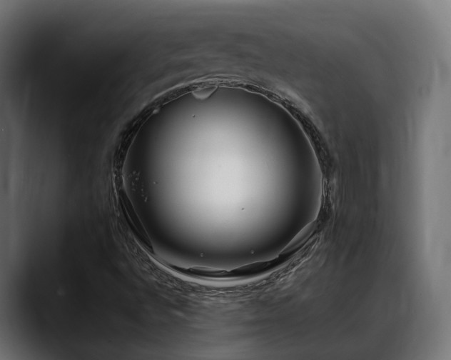 X0000088621496200705251230