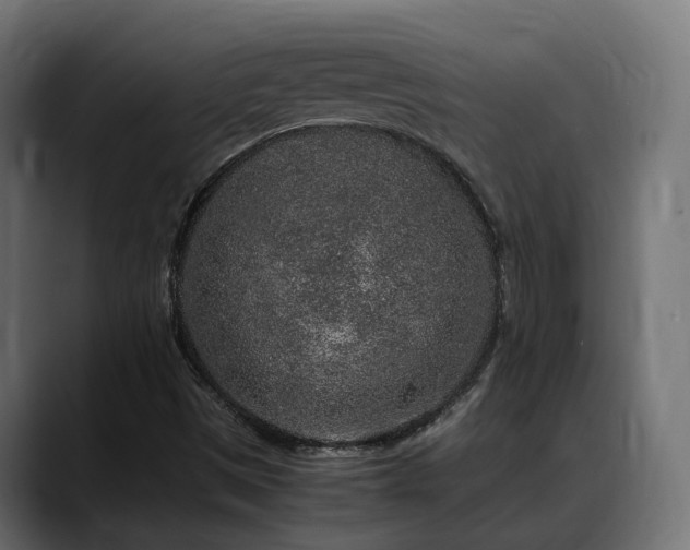 X0000088621497200705251230