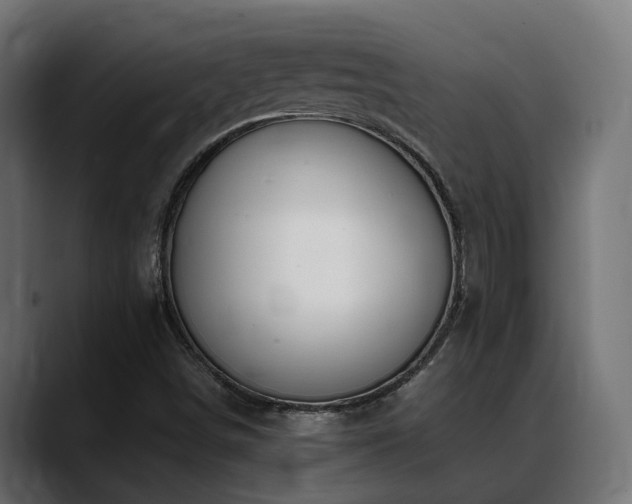 X0000088621498200705251230
