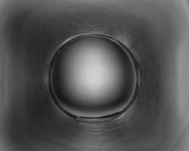 X0000088621500200705251230