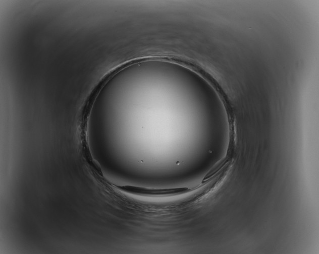 X0000088621501200705251230