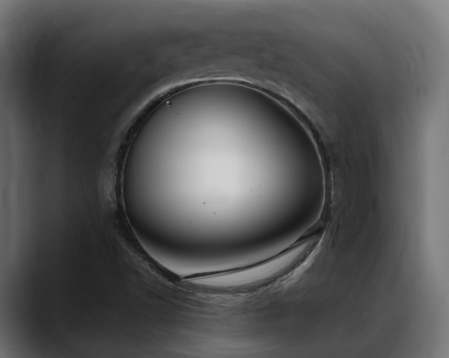X0000088621502200705251230