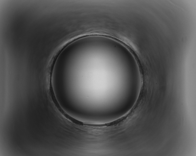 X0000088621504200705251230