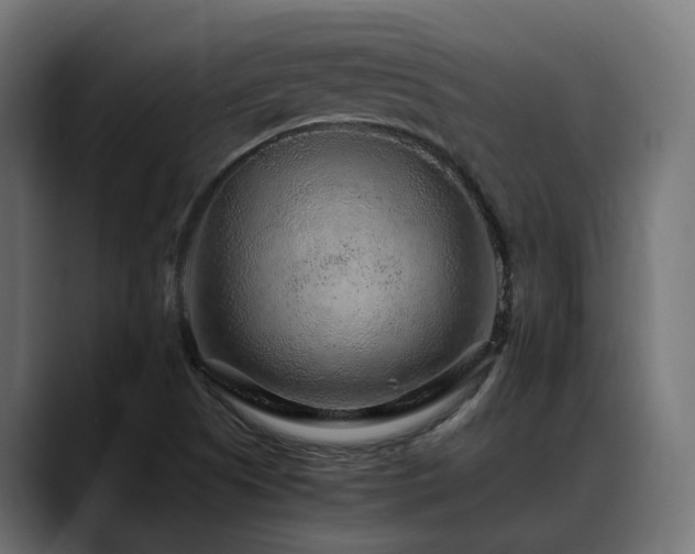 X0000088621505200705251230