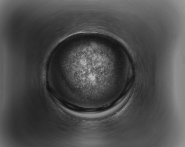 X0000088621506200705251230