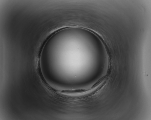 X0000088621507200705251230