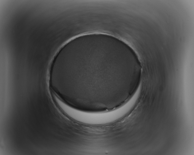X0000088621508200705251230