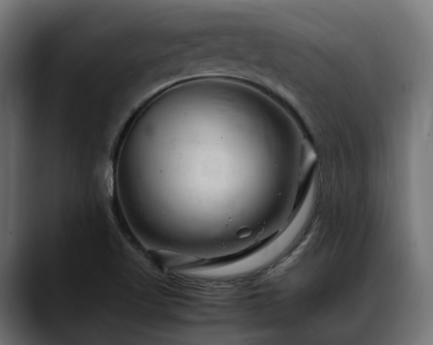 X0000088621509200705251230
