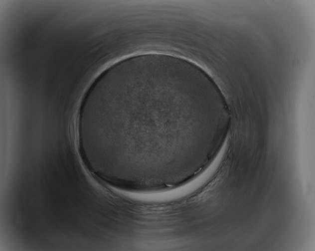 X0000088621515200705251231