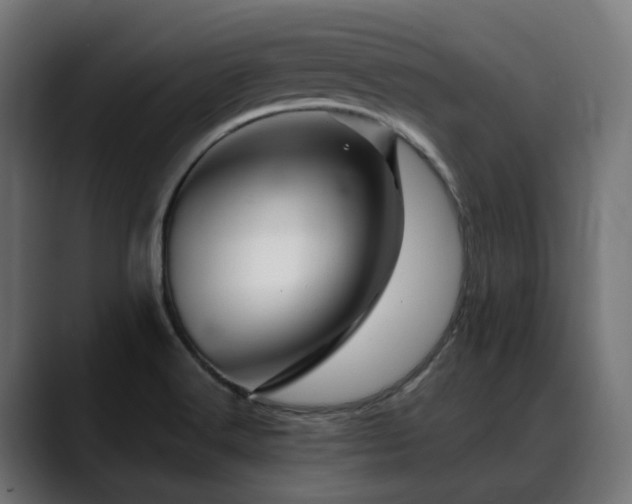 X0000088621516200705251231