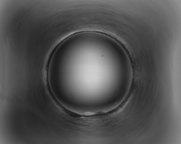 X0000088621517200705251231