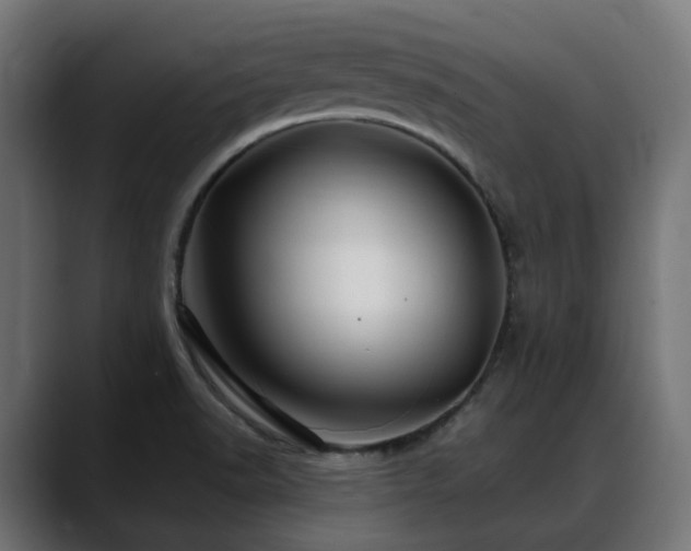 X0000088621518200705251231