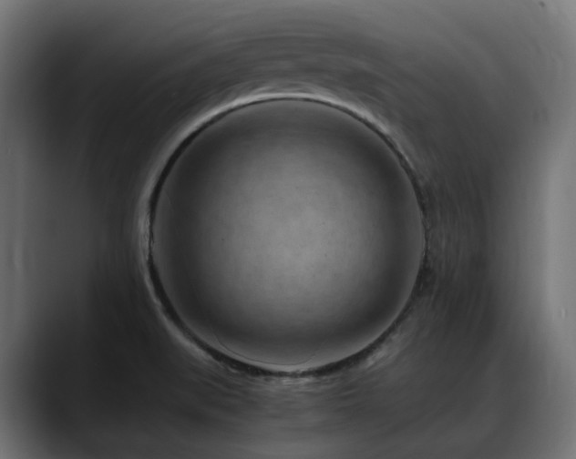 X0000088621519200705251231