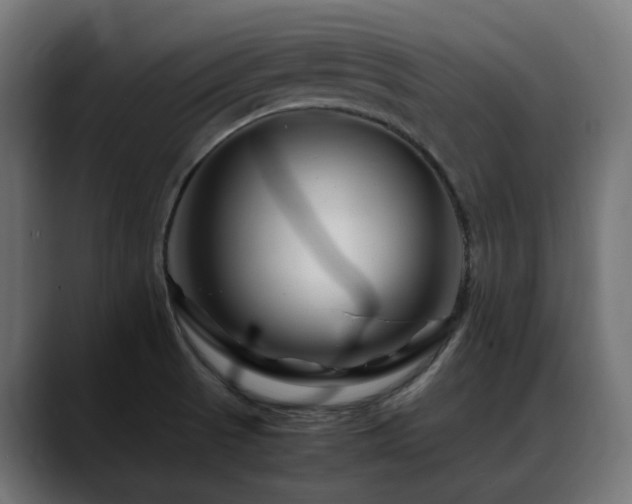 X0000088621521200705251231