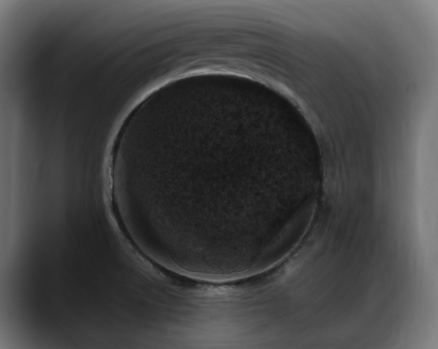 X0000088621522200705251231