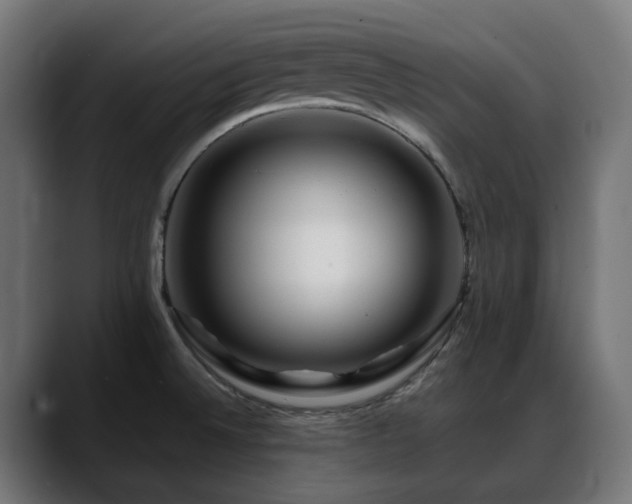 X0000088621524200705251231