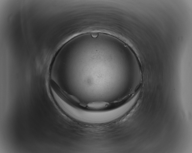 X0000088621525200705251231