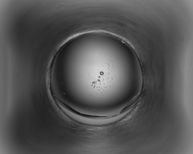 X0000088621526200705251231