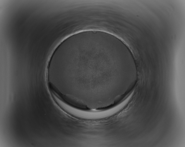 X0000088621527200705251231
