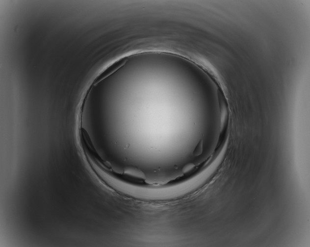 X0000088621528200705251231
