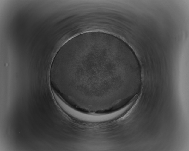 X0000088621529200705251231