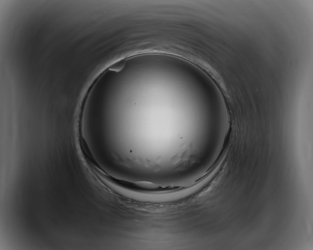 X0000088621530200705251231