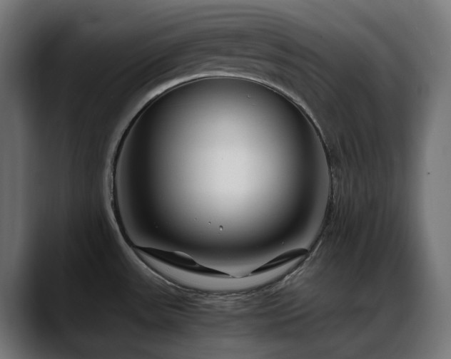 X0000088621531200705251231