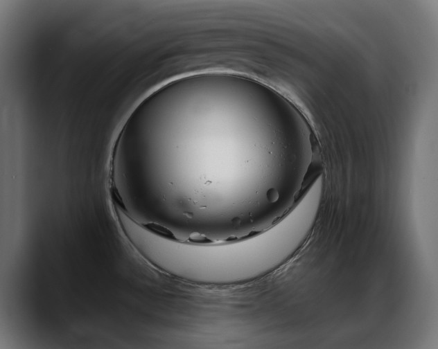 X0000088621532200705251231