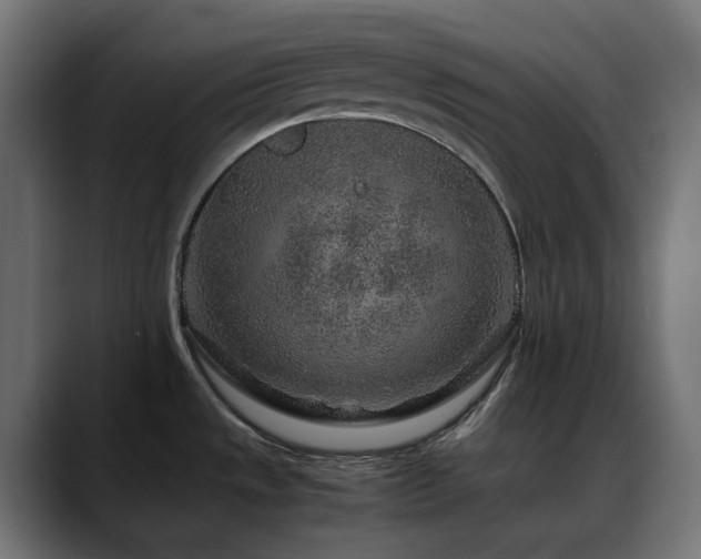 X0000088621533200705251231
