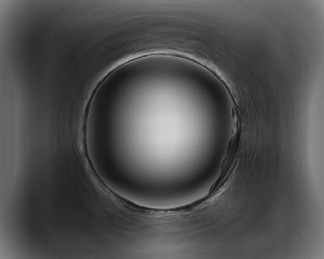 X0000088621534200705251231