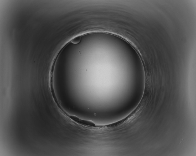 X0000088621535200705251231