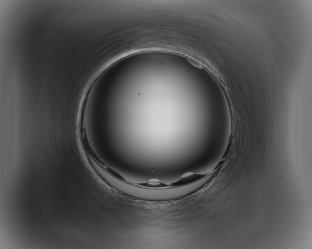 X0000088621536200705251231