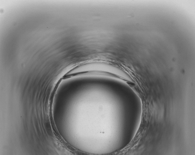 X0000088620100200706011302