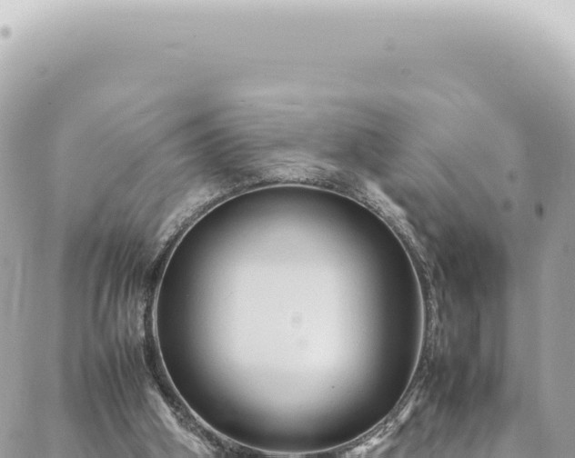 X0000088620106200706011302