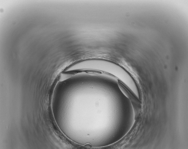X0000088620107200706011302