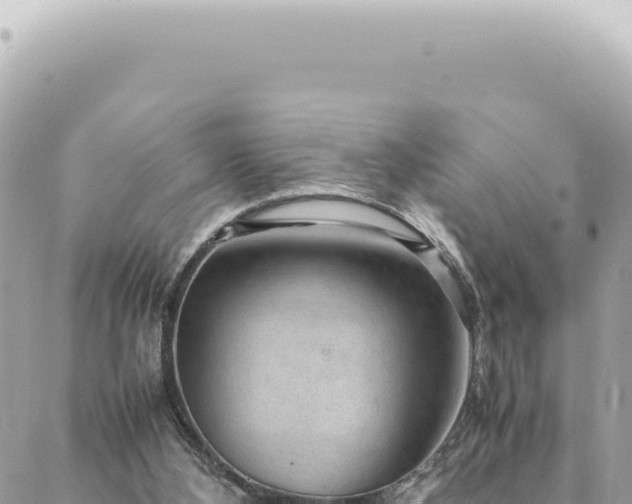 X0000088620108200706011302