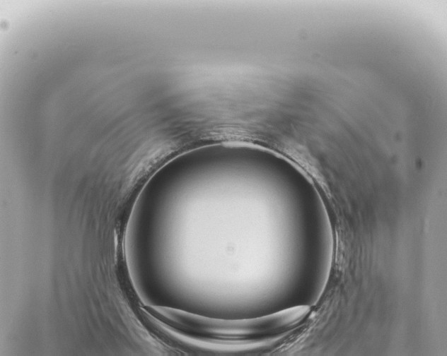 X0000088620109200706011302