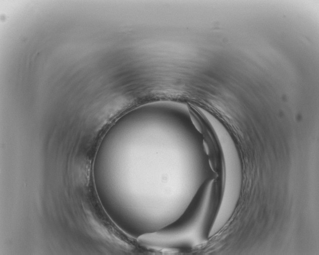 X0000088620168200706011301
