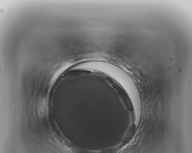 X0000088620200200706011301