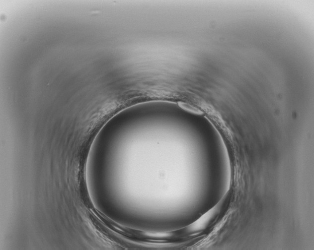 X0000088620201200706011301