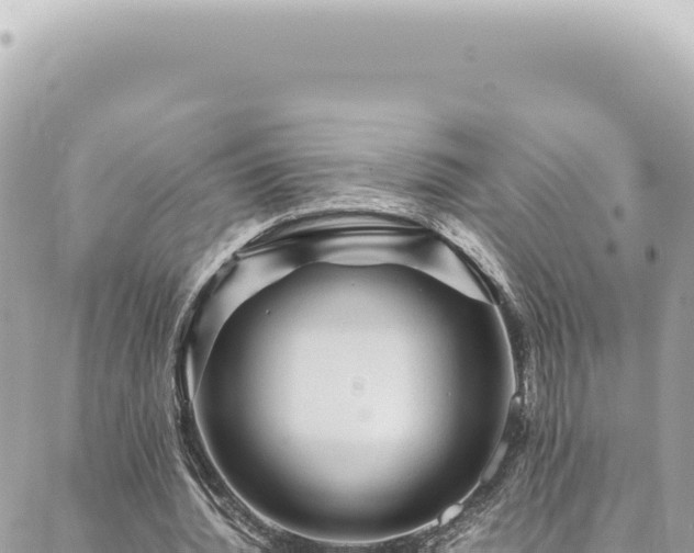 X0000088620436200706011256