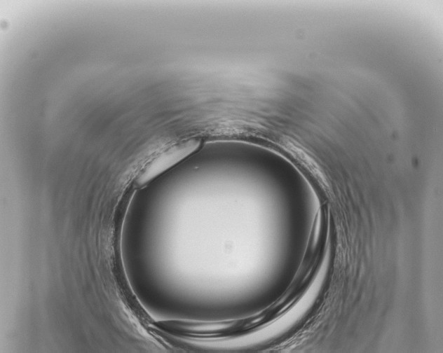 X0000088620485200706011256