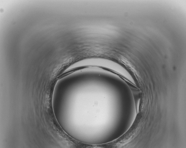 X0000088620497200706011256