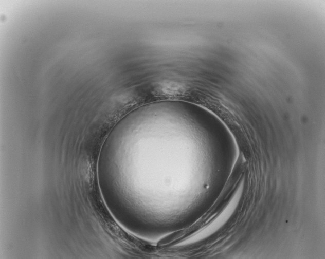 X0000088620651200706011254