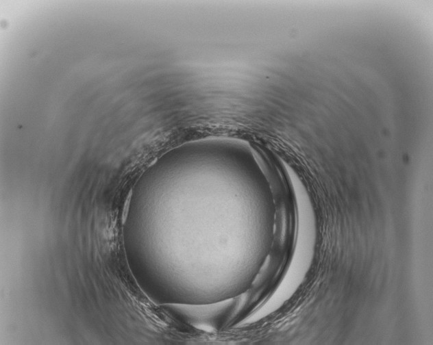 X0000088620818200706011250