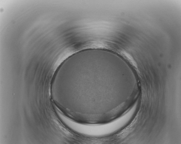 X0000088621226200706011244