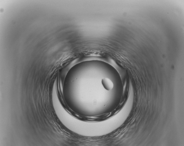 X0000088621394200706011241