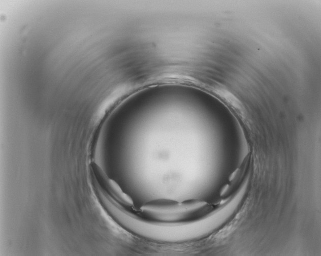 X0000088621430200706011241