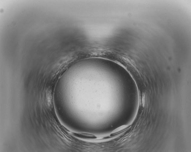 X0000088621444200706011241