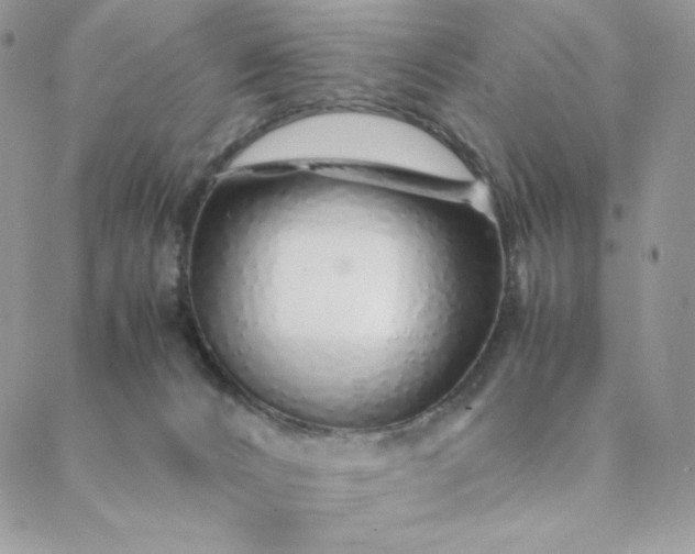 X0000088620032200706081533